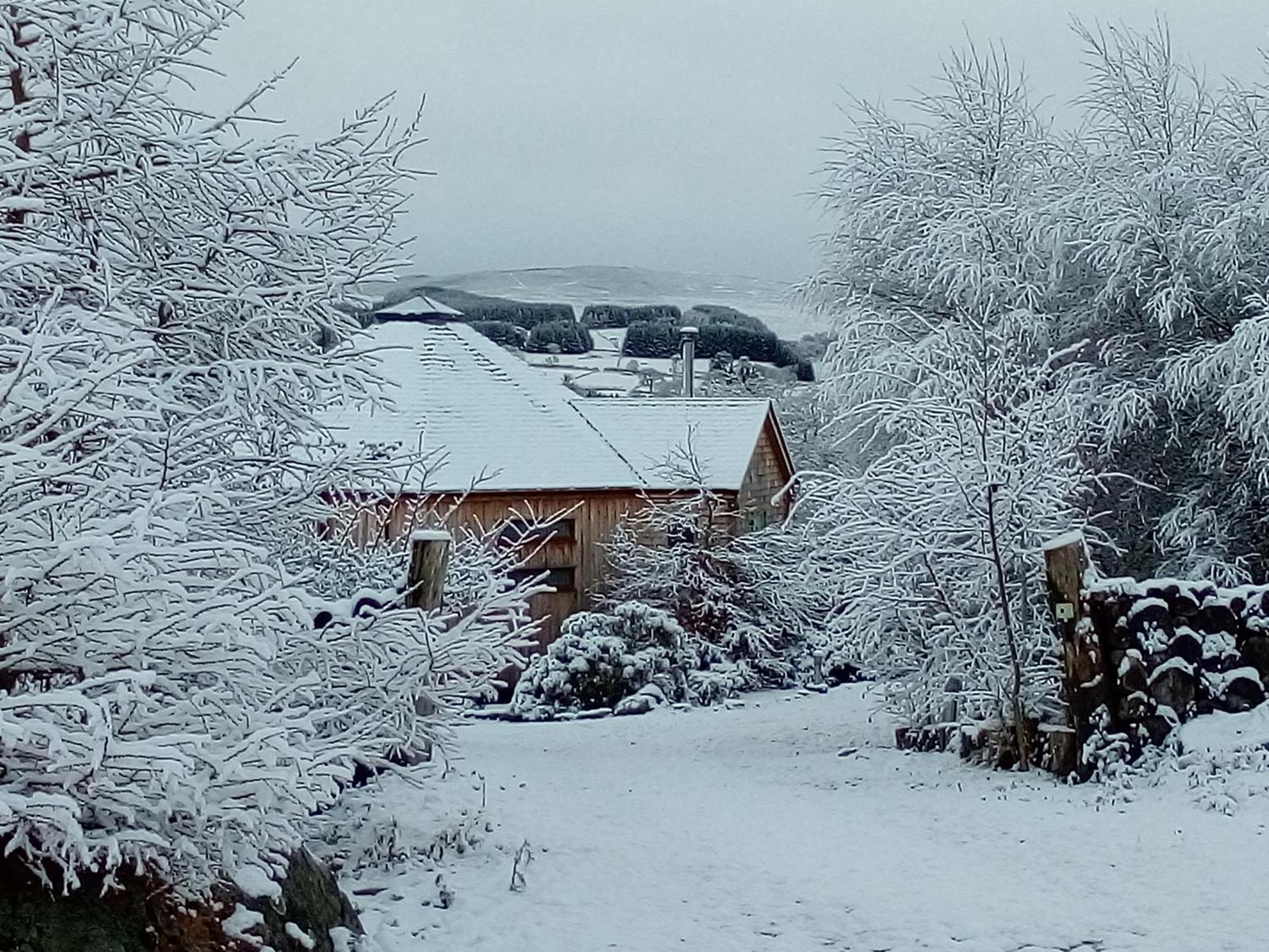 Dalnoid Cottages & Treehouses Nr Glenshee Exterior photo